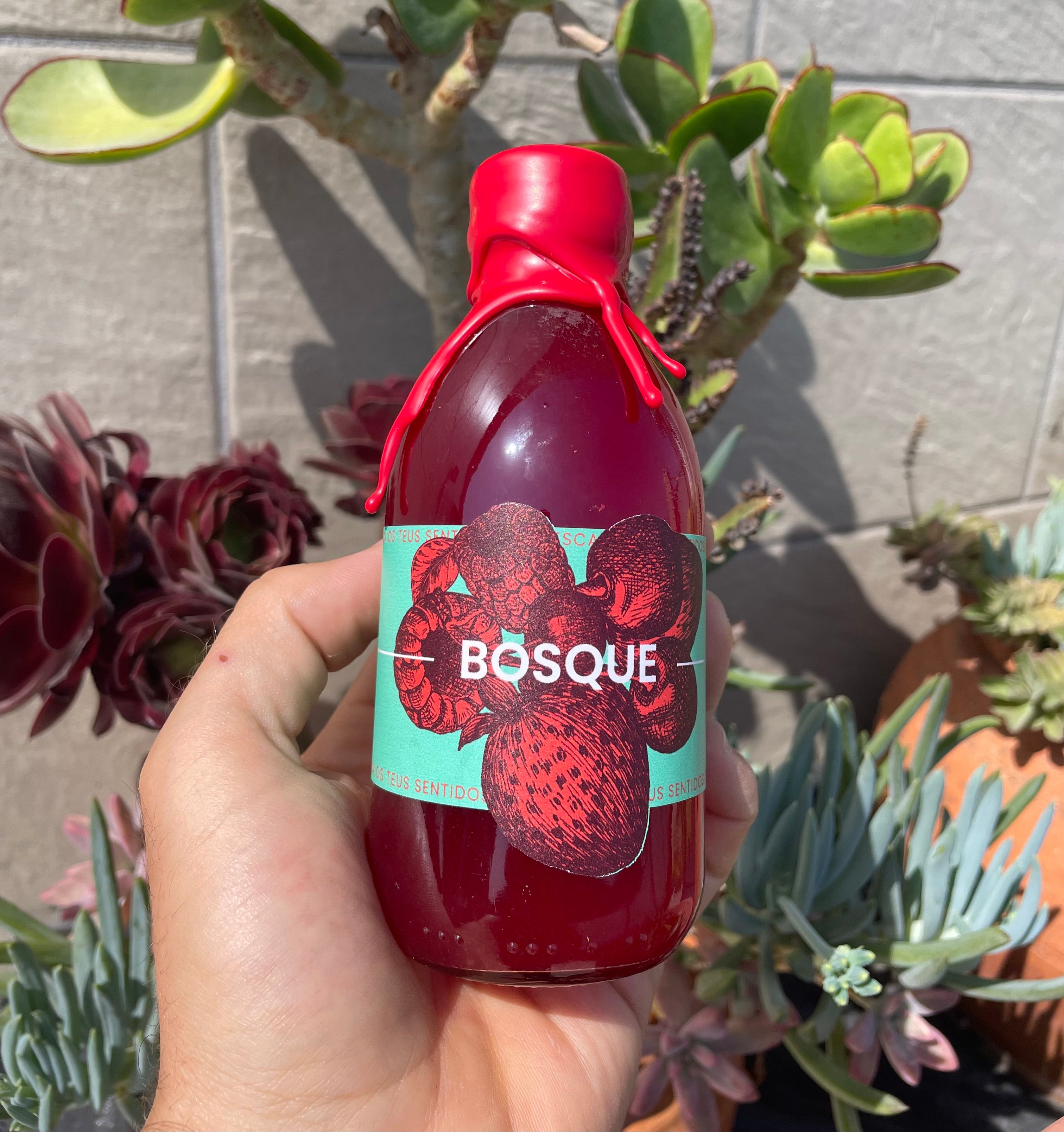 AMISHI BOSQUE | FRUTOS VERMELHOS