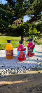 AMISHI | PACK 4 UN