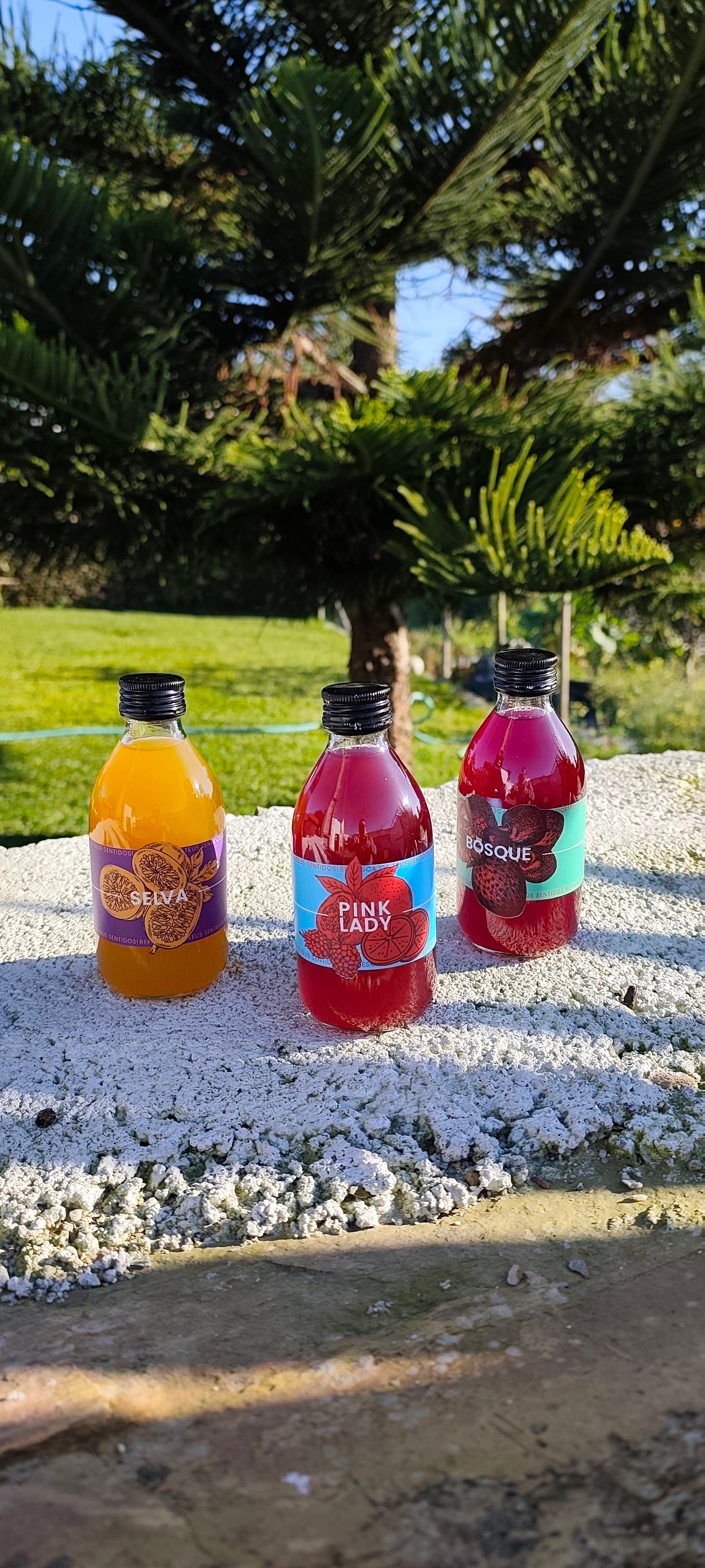 AMISHI | PACK 4 UN